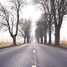 Porsche fren kontrolü.